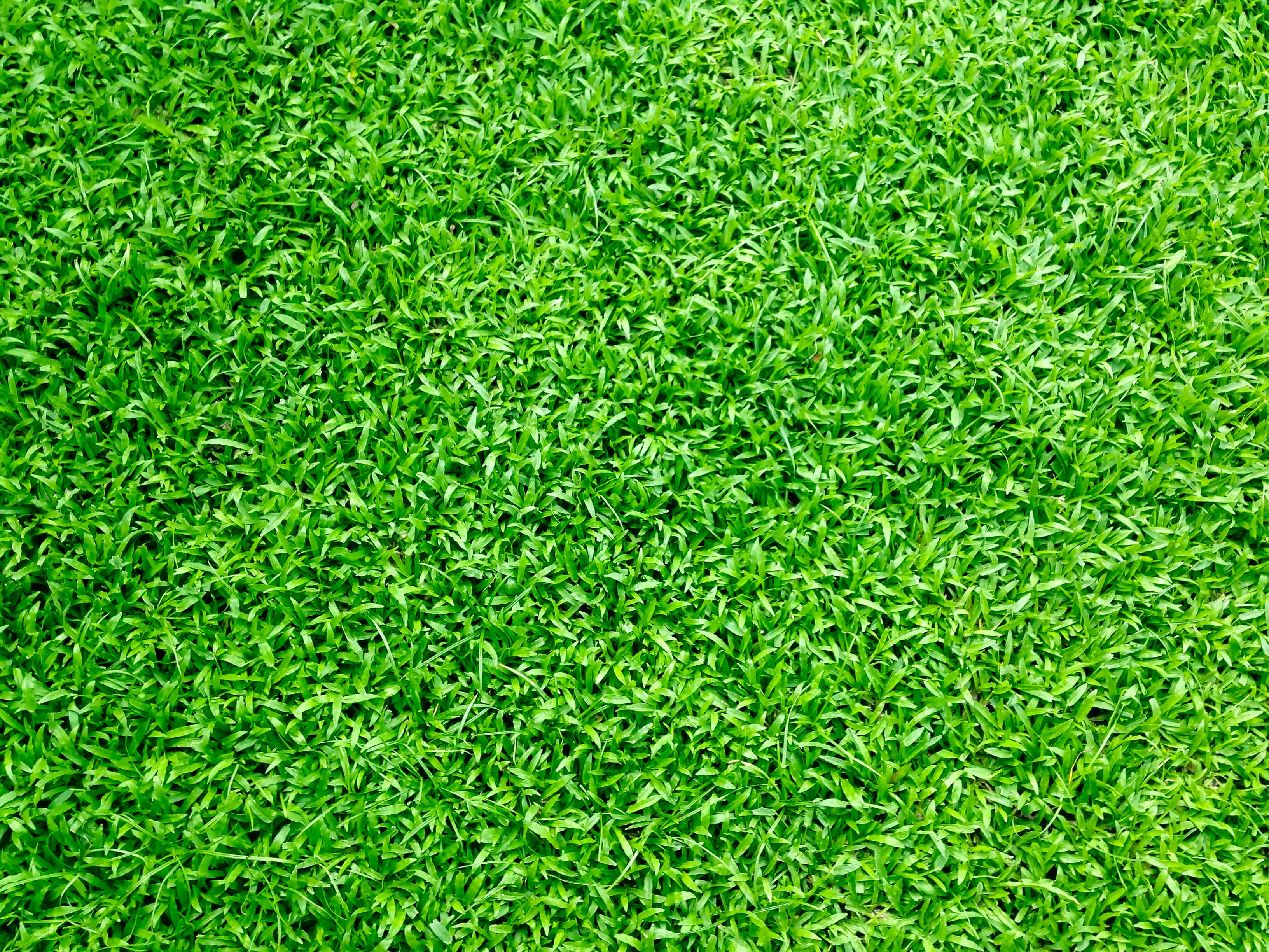 Appealing benefits of synthetic turf that you should know!